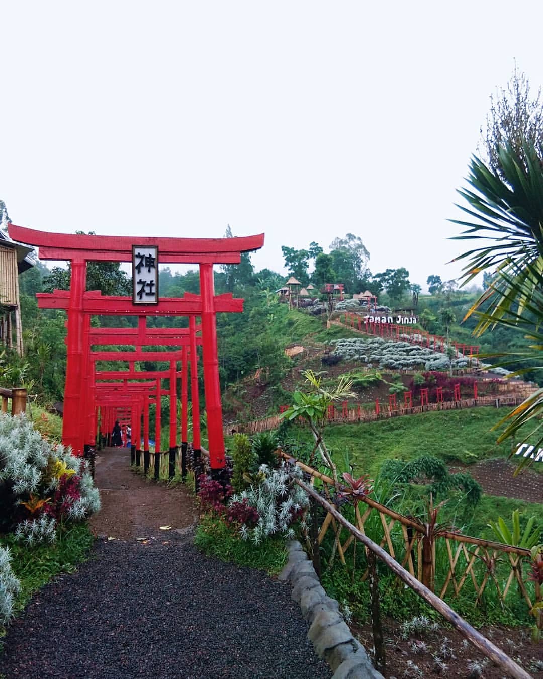 Virgita on Instagram_ _Pesona Indah Di Taman Jinja_0(JPG) (1)