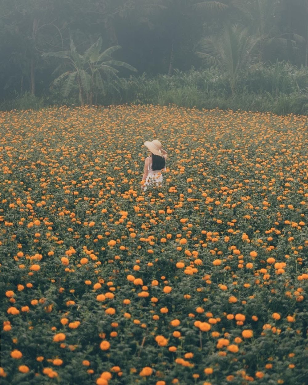 img-8690-3b14d6eb1dd687e4cafa8463579ae23a