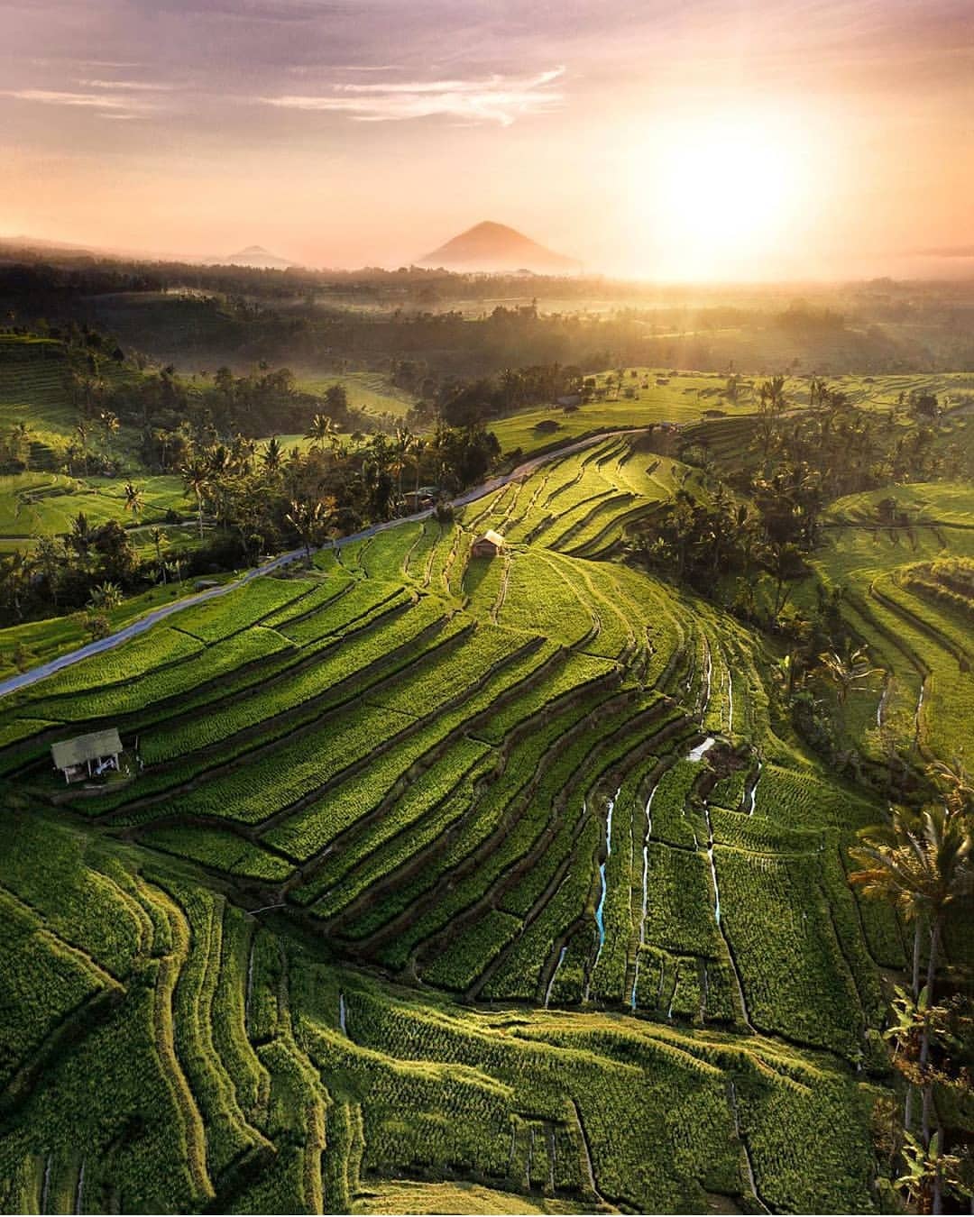 nowbalimag jatiluwih