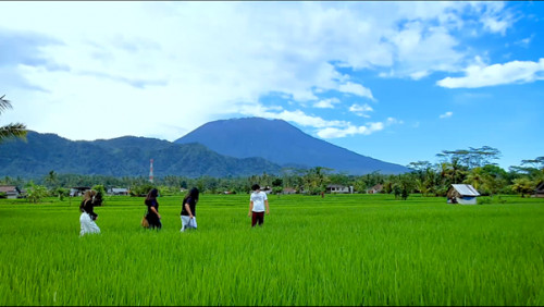 MENJELAJAH 14 VARIETAS SALAK DI DESA SIBETAN