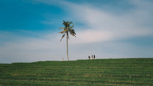 Ngonten with View di Desa Belimbing, Dijamin Instagramble!