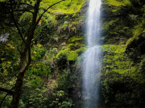 Cunca Radi Ntangis, Potensi Wisata Alam di Desa Ulu Wae