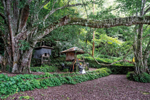 Merasakan Sensasi “Dark Tourism” di Desa Trunyan yang Penuh Aura Mistis