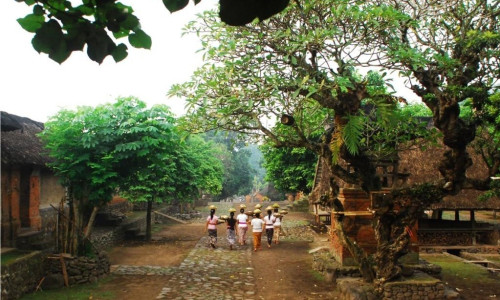 DESA TENGANAN: DENGAN BUDAYA PEGRINGSINGAN YANG MEMILIKI KEKUATAN MAGIS