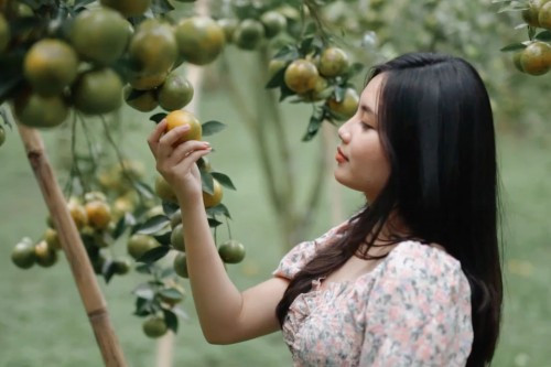 Keindahan Desa Kerta: Agrowisata dan Kuliner Bali yang Tak Terlupakan!